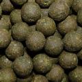  - Natr�ven� j�tra boilies 18 mm  1Kg