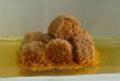 Squid  pelety olihe 10 mm  1 Kg PO 3 HODINCH VE VOD    