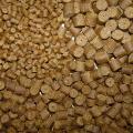 GARLIC esnek+Jtra pelety  1 kg 10 mm