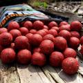 Jahoda - Ryba  boilies 18 mm 1 Kg
